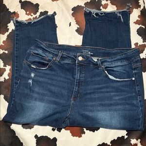 Time and Tru Women's High Rise Cropped Jeans Size 20